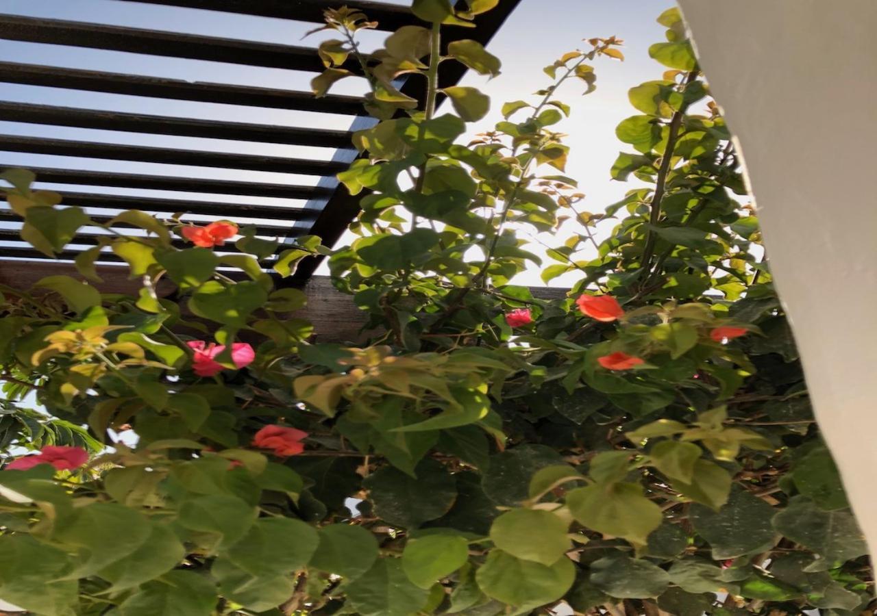 Villa Mare Bella Chao Sea View Private Heated Solar Pool Ac Пуерто дел Кармен Екстериор снимка
