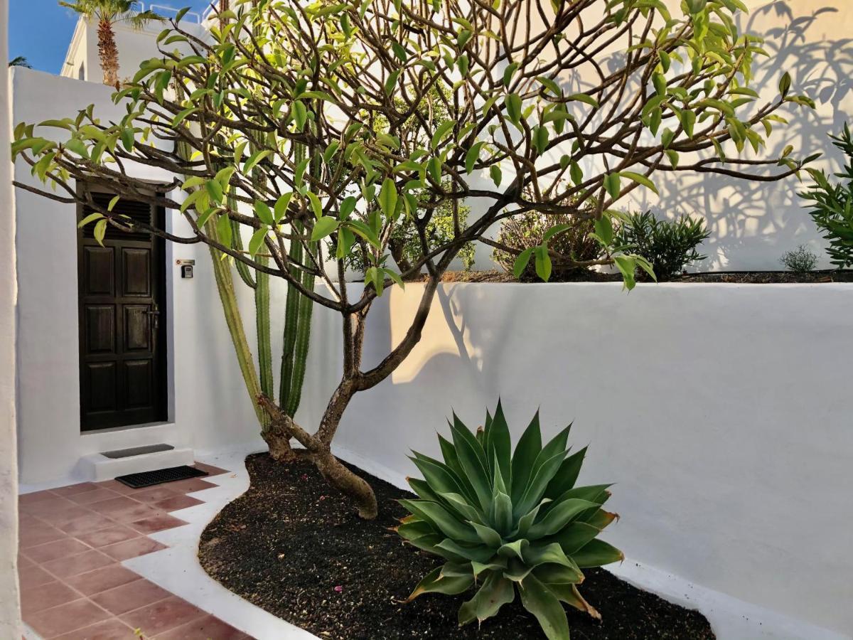 Villa Mare Bella Chao Sea View Private Heated Solar Pool Ac Пуерто дел Кармен Екстериор снимка